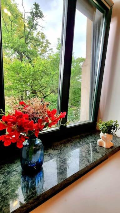 Apartmán Cosy Mini Apartment- Centre Katovice