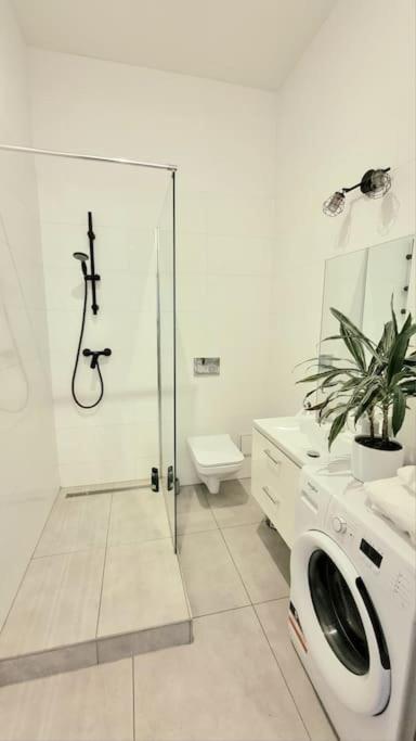 Cosy Mini Apartment- Centre Katovice