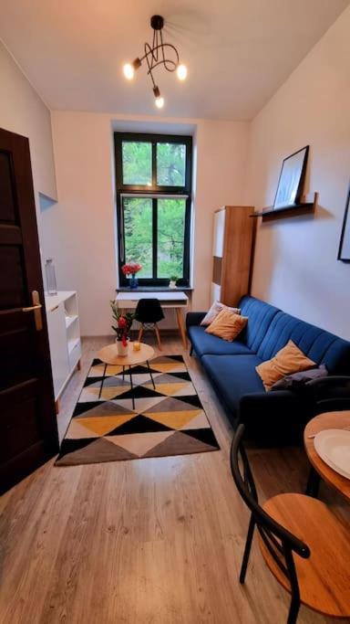 Cosy Mini Apartment- Centre